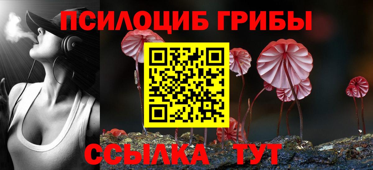 Галлюциногенные грибы MAGIC MUSHROOMS  Вход с VPN  Новомосковск 