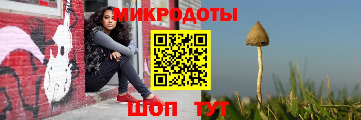 Галлюциногенные грибы Cubensis Новомосковск